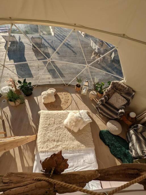Beautiful Located Dome Hotel Wapnica  Exterior photo